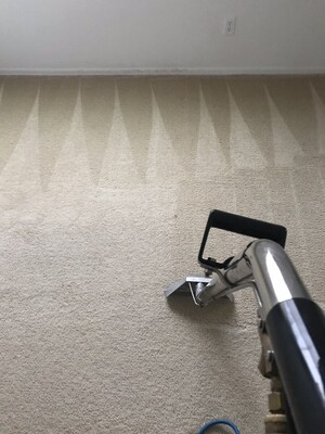Carpet Cleaning in the Phoenix, Arizona Area by Phoenix Steam Pros